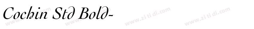 Cochin Std Bold字体转换